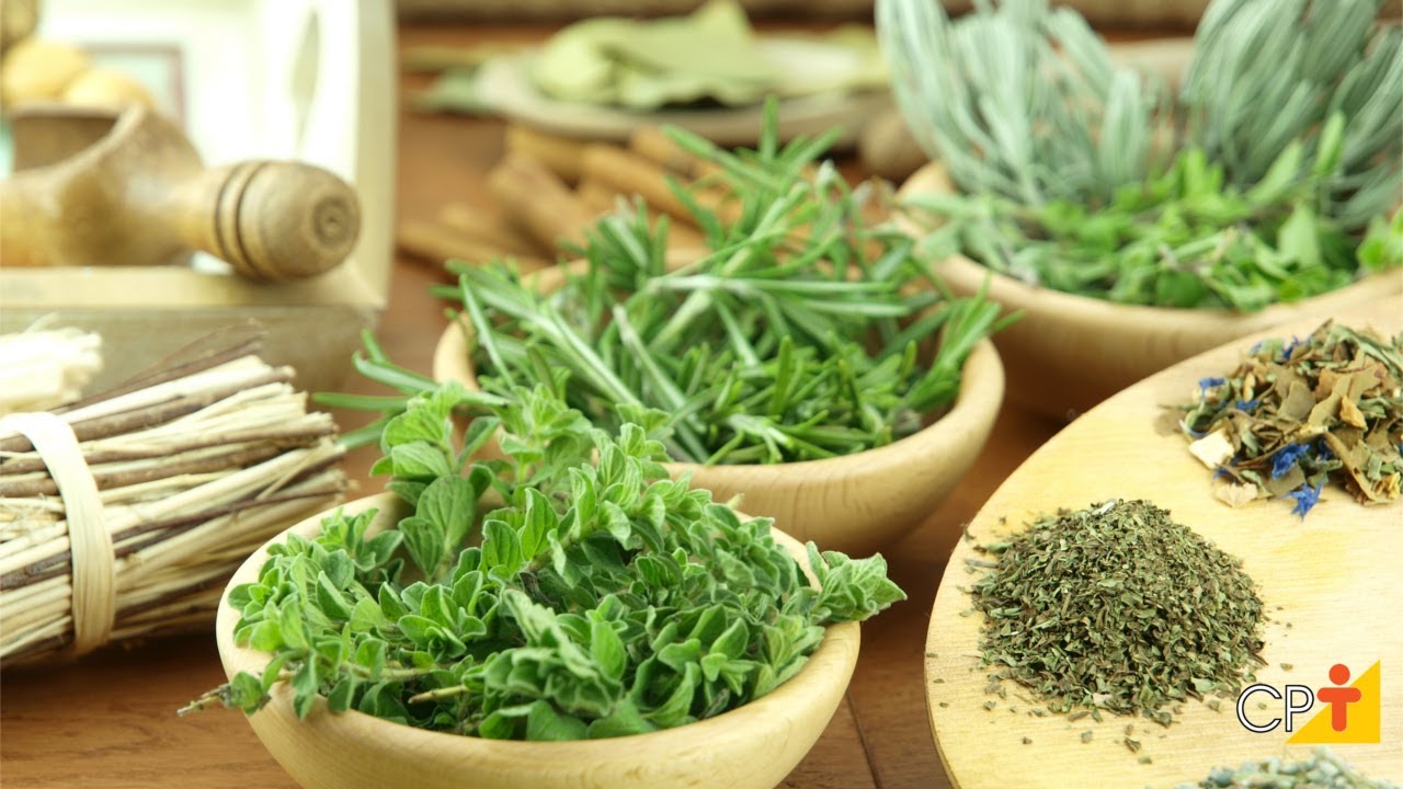Curso a Distância Produção Comercial de Plantas Medicinais CPT