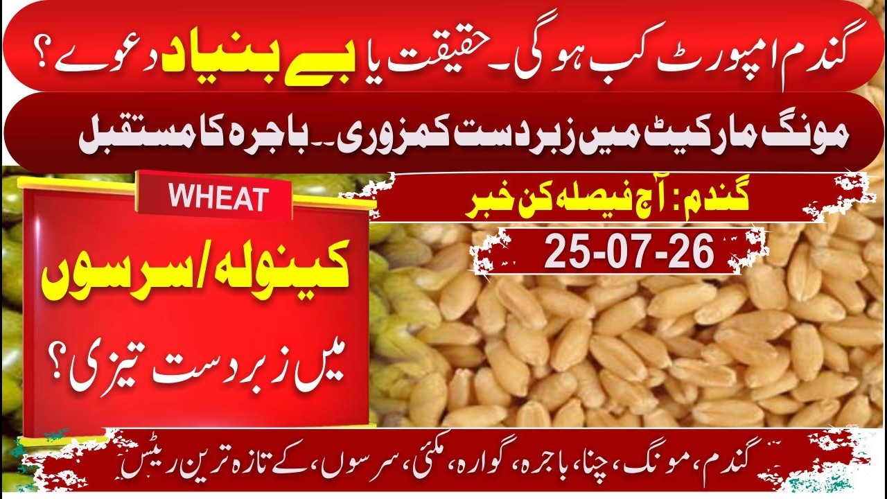 Today | Wheat Import 2026 Update | Pakistan Wheat News Today | Pak Wheat Import Latest Update 2026