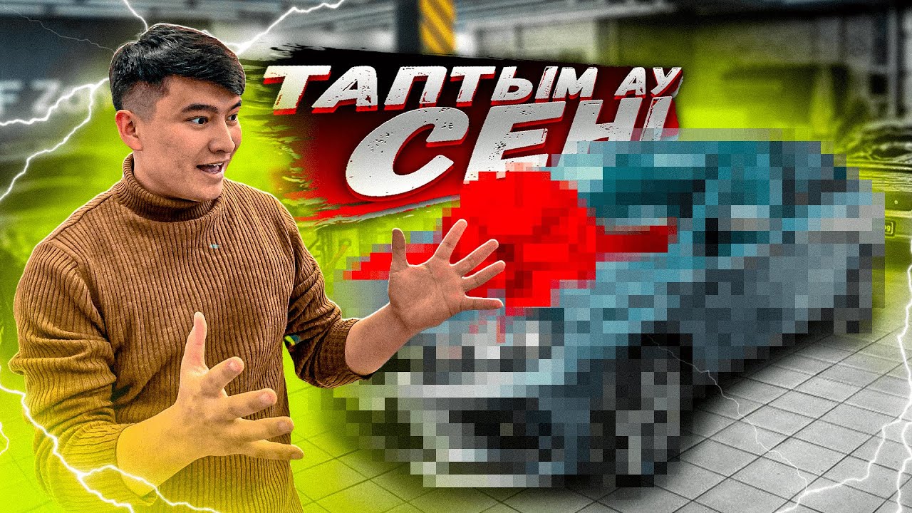 Көп ҚАРАНЫҢ ішінен таңдап алған ТҰЛПАРЫМ // Қазақ ЕЛІНЕ +1 ПРОЕКТ
