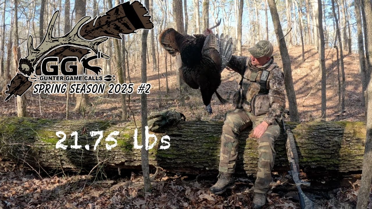 Spring Turkey Season 2025 #2 (Spitting & Drumming/Early Season Long Beard)
