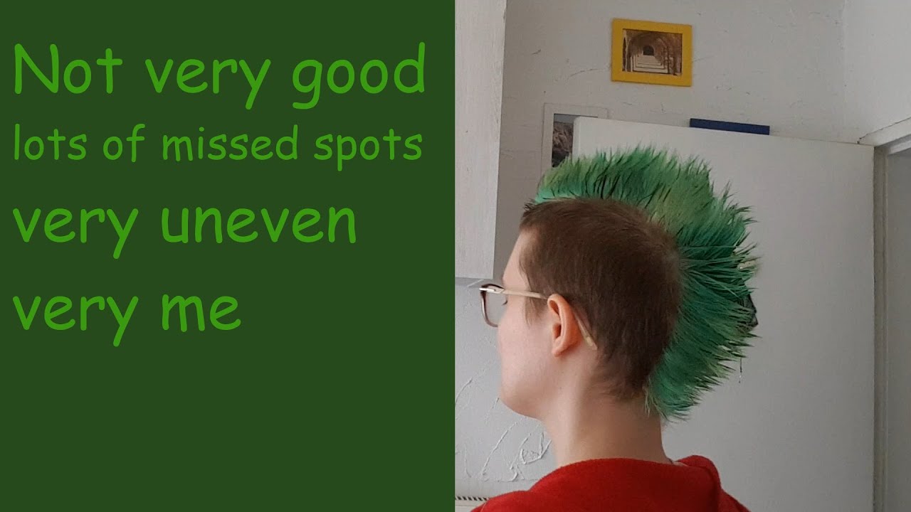 I Dyed My Mohawk With Directions Apple Green