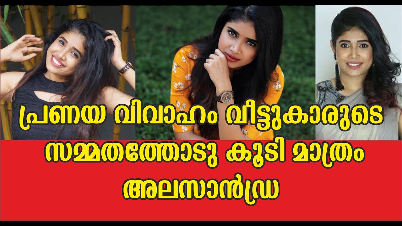 Alasandra Johnson About Her Marriage - Bigg Boss Season 2 Malayalam