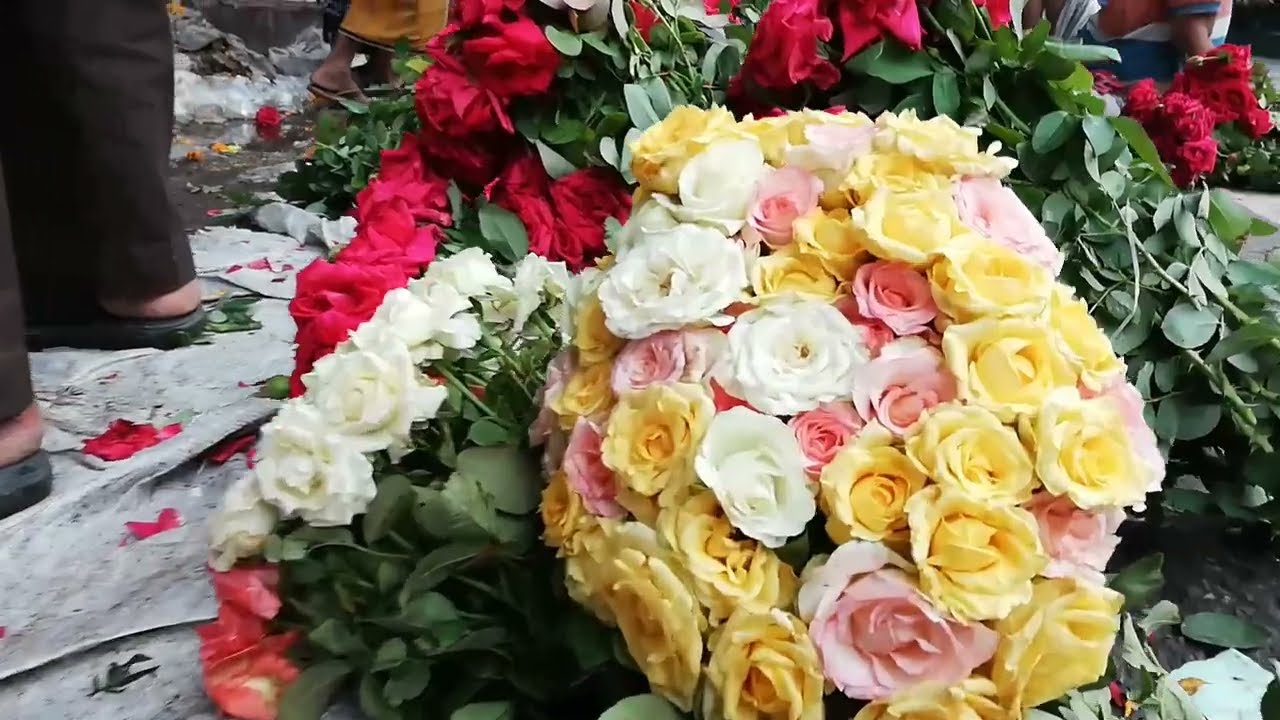 সবচেয়ে কম দামে পাইকারী ফুলের বাজার। শাহাবাগ #Wholesale Flower Market@Shahabag. #flower #bangladesh