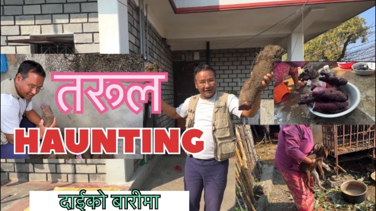 🍠AJA BARIMA GHAR TARUL KHANEKO ANI DOKO BOKDA  MAJJA AYO😝