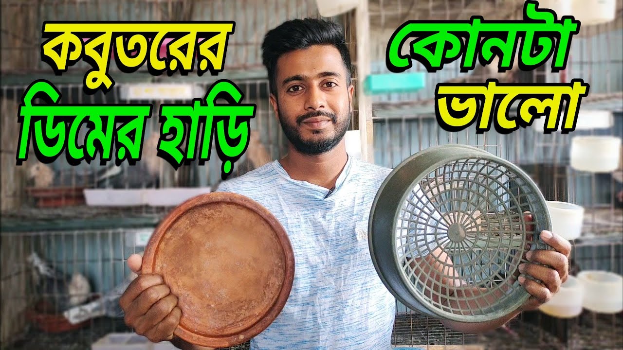 কবুতরের ডিম ও বাচ্চা করার জন্য কোন হাড়ি ভালো হবে #rose_pigeon_loft