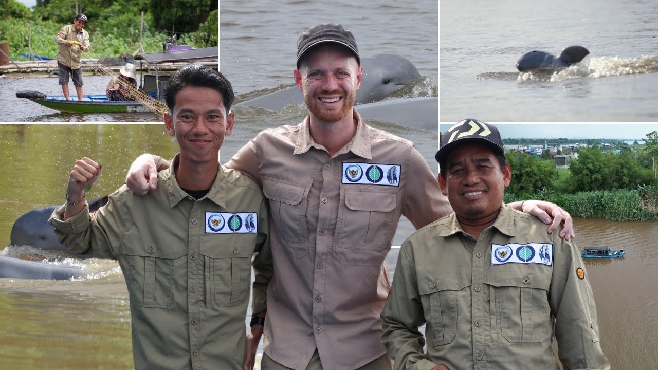 Die RANGERS im EINSATZ für die LETZTEN FLUSSDELFINE von INDONESIEN | Ecosystem Bumi