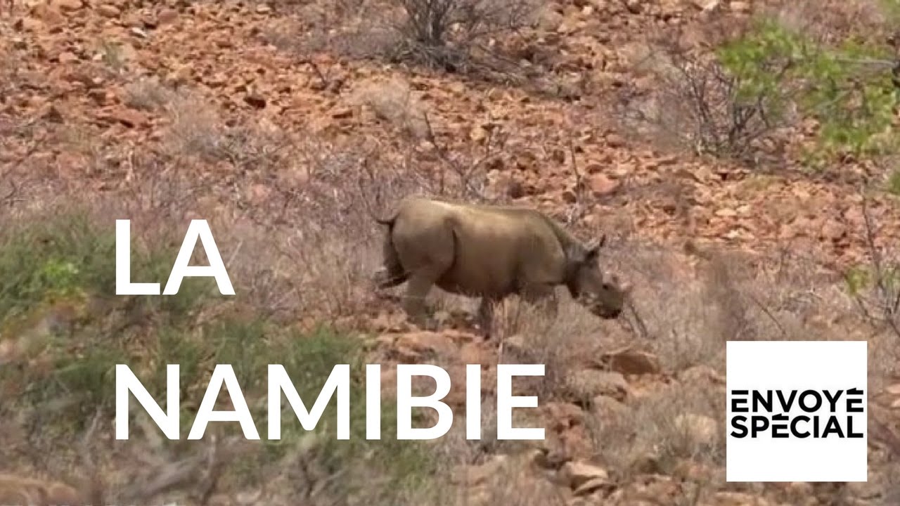 Envoyé spécial - Namibie : la rédemption des braconniers – 02 mars 2017 (France 2)