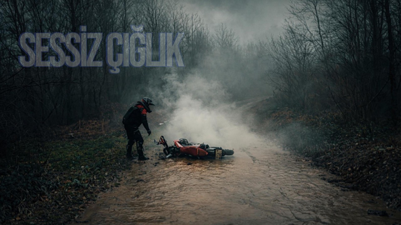 Yoldan Çıkış | Ormanda Son Sürüş