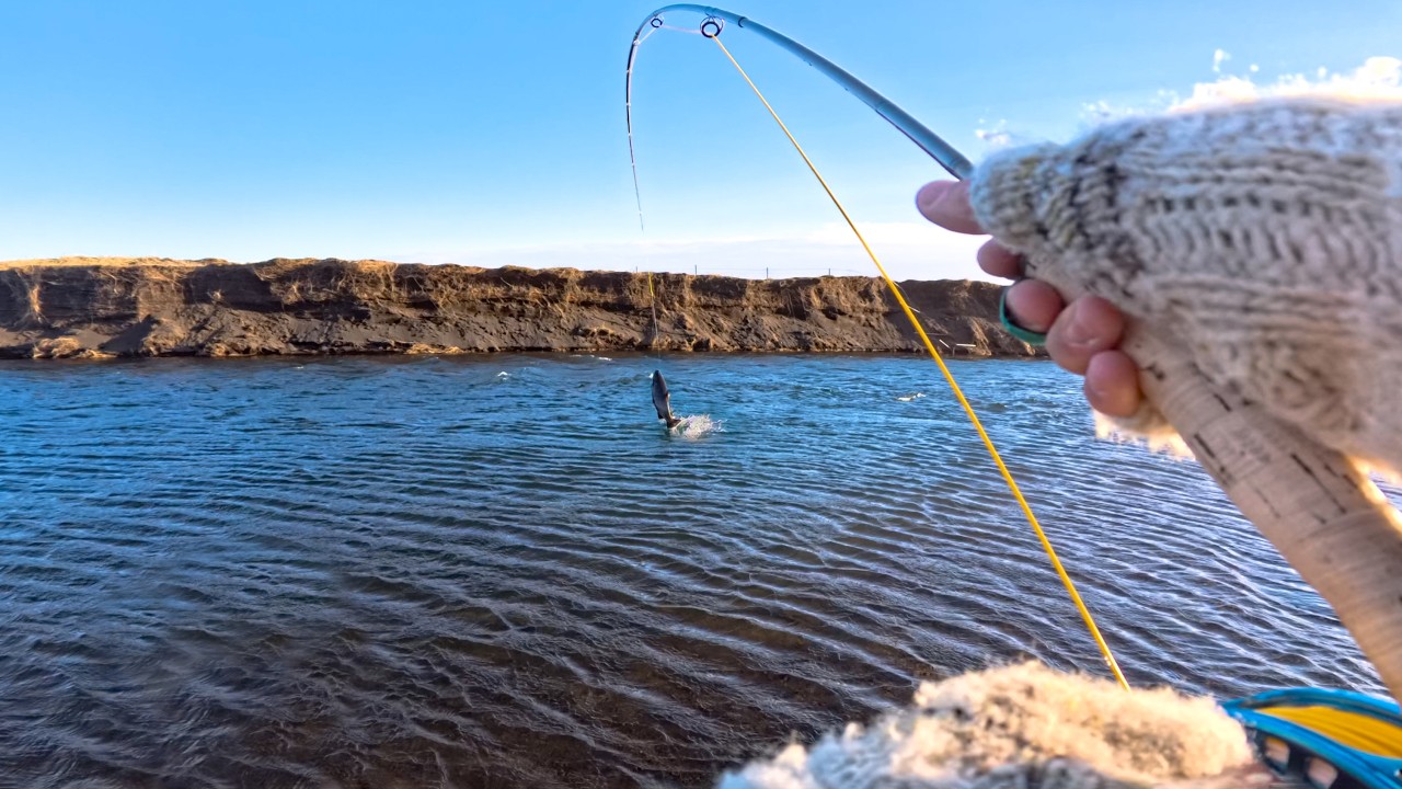 Master the Streamer - Become an Expert at Streamer Fishing (PB Trout)