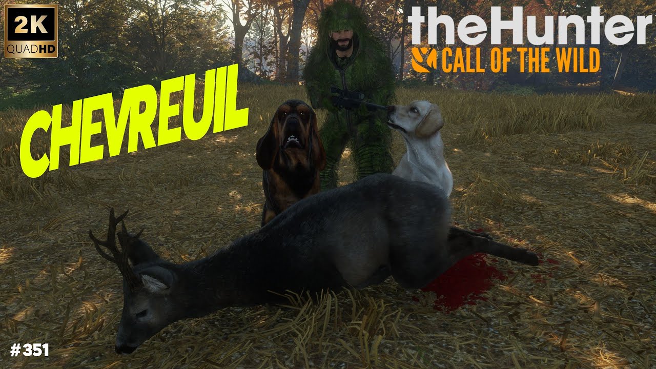 THEHUNTER CALL OF THE WILD #351 ON CHASSE LE CHEVREUIL SUR HIRSCHFELDEN 2026