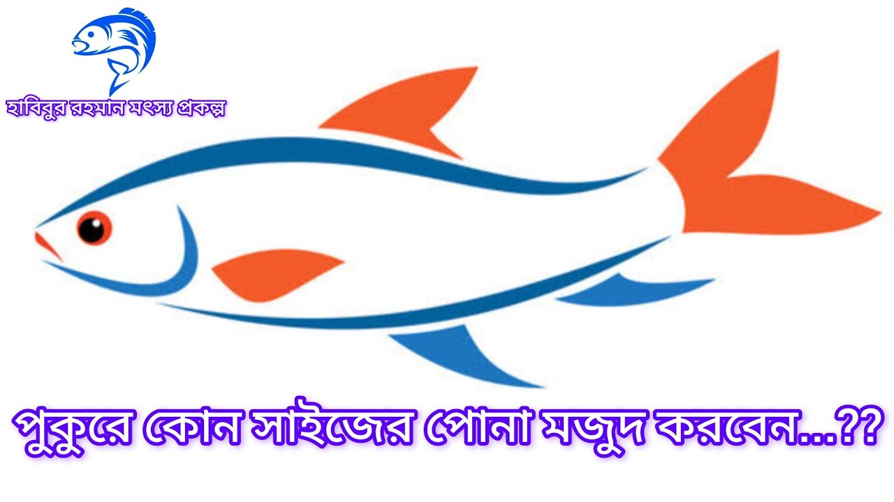 ১৫৮..পুকুরে কোন সাইজের পোনা মজুদ করবেন...??