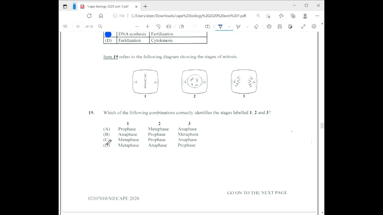 Cape Biology 2020 Unit 1 Paper 1 Solutions