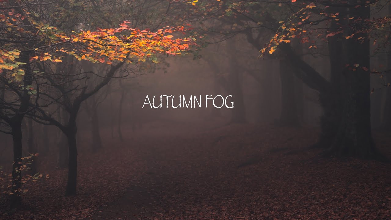 Autumn Fog | Filmed with Sony ZV-E1