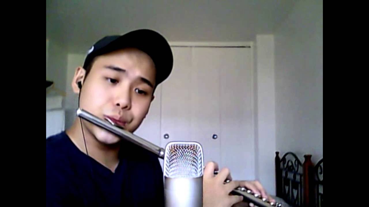 Cats- Memory (Flute Cover)