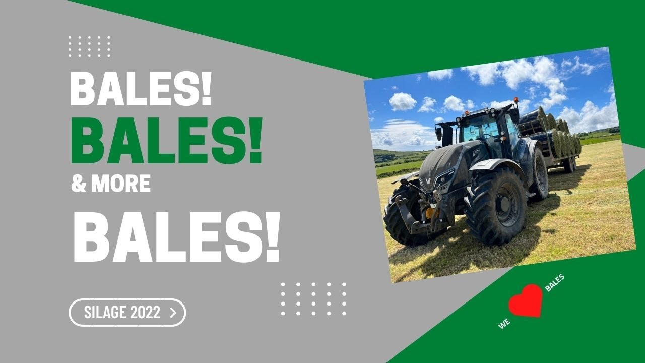 BALES, BALES and MORE BALES! SILAGE 2022