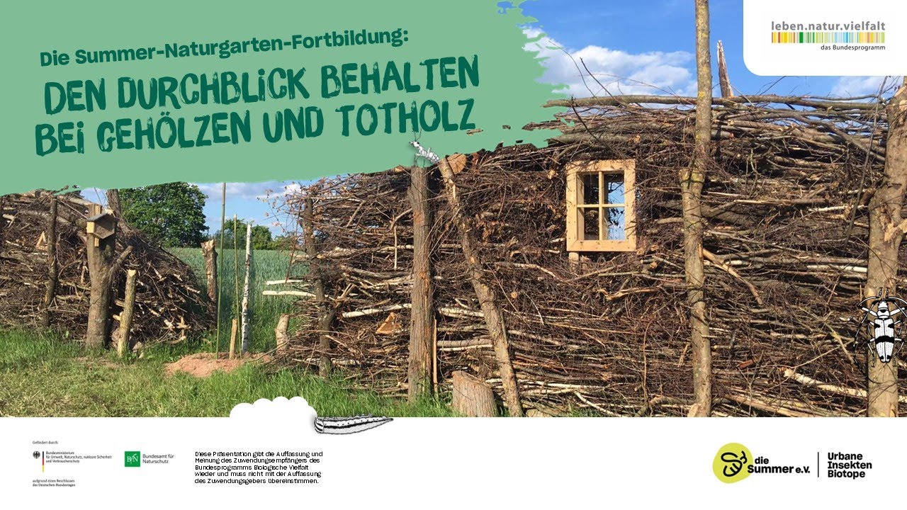 Den Durchblick behalten bei Gehölzen und Totholz