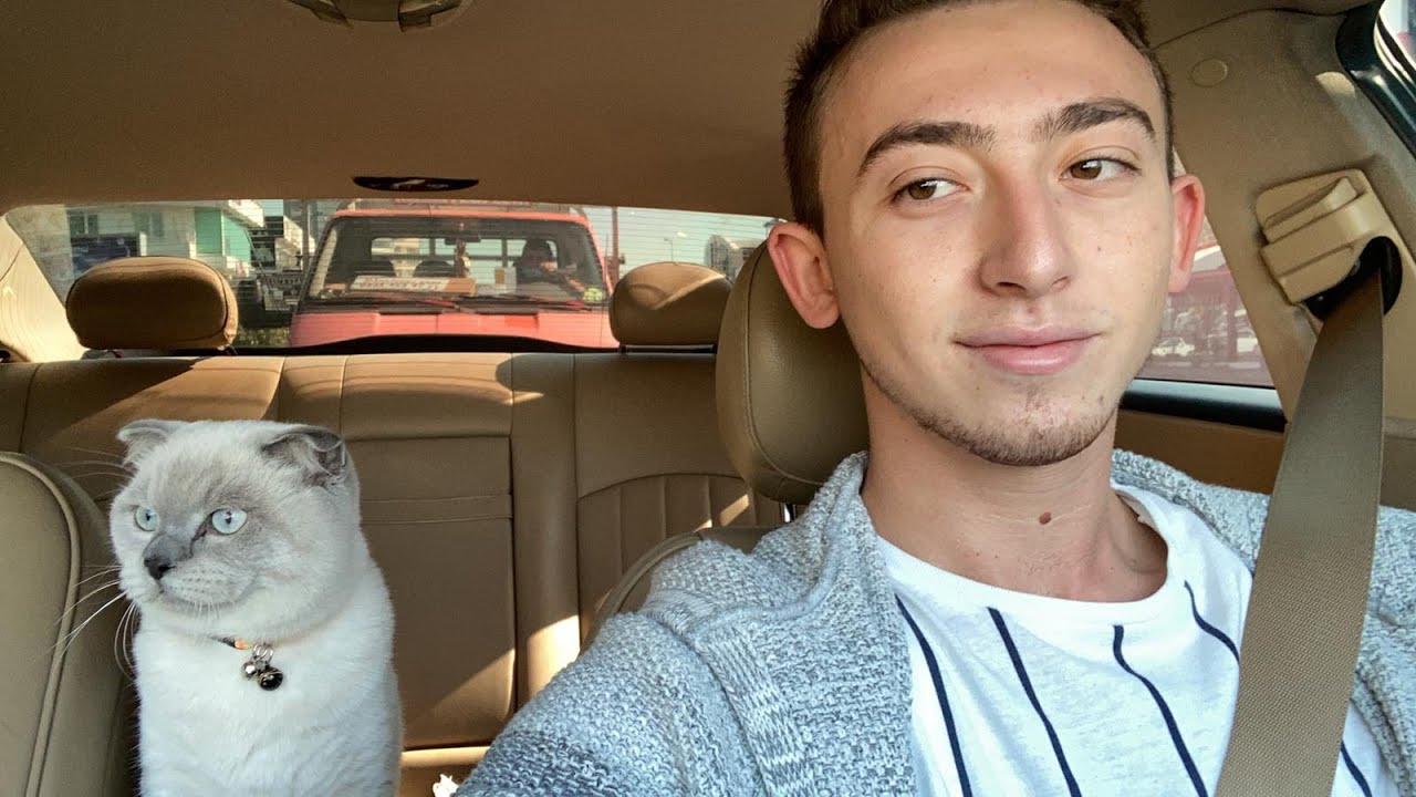 KEDİM BEHLÜL İLE BİR GÜN GEÇİRDİM ( scottish fold blue point ) I spent a day with my cat