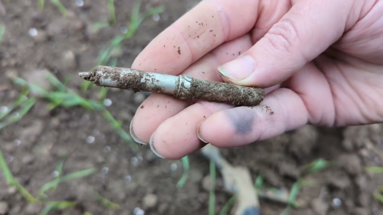 NorthMud Metal Detecting Northumberland