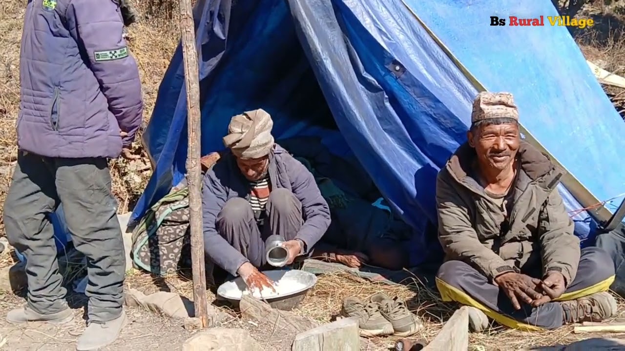 Beautiful Nature Rural Life|Hemalayan Shepherd village lifestyle Most peceful And Beautiful Life.