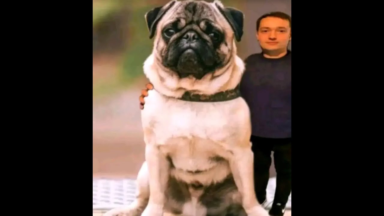 Вбиу