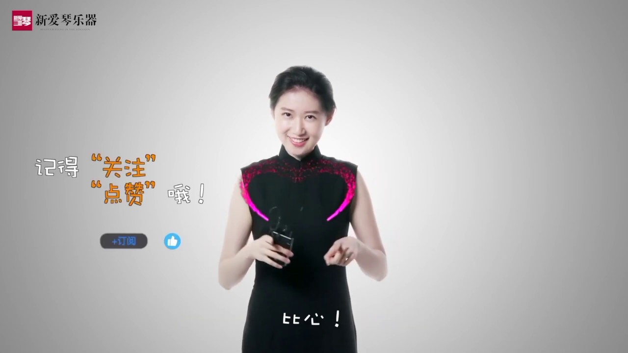 从零学二胡 洪湖人民的心愿 Chinese musical instruments erhu