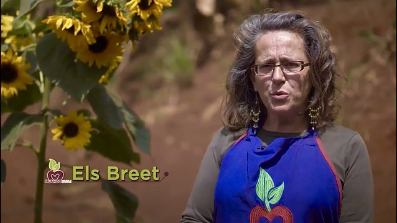 Mlango Farm - The Story and The Approach - Told by Els