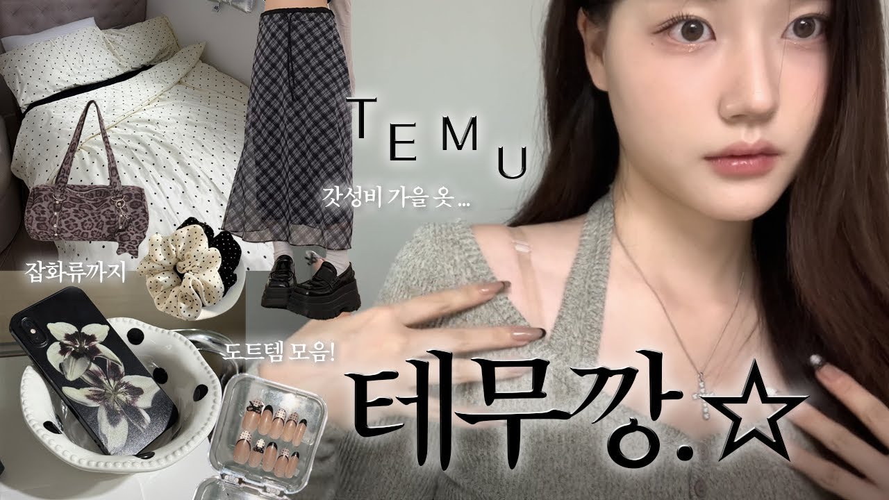 테무깡 대성공ver -`♥´- 20만원 HAUL 🛒 (갓성비 가을 옷/삶의질 상승템/도트템/인테리어/폰케이스/가방)