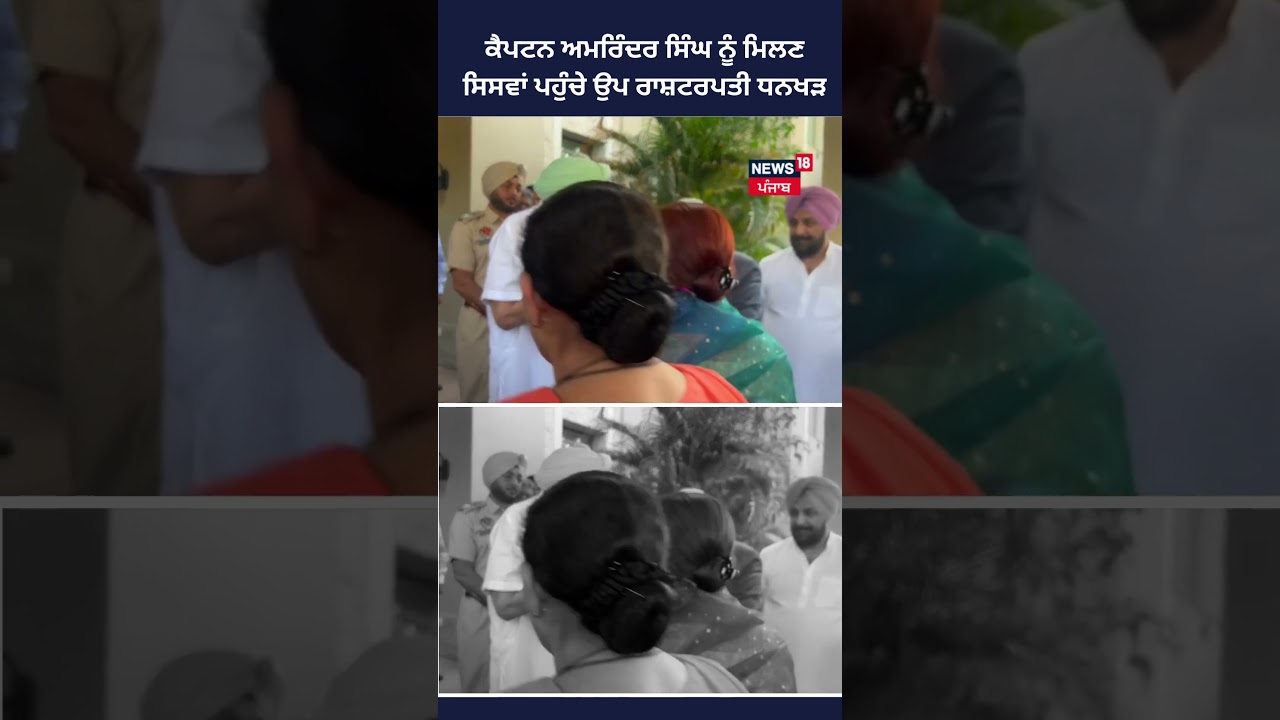 Captain Amrinder Singh ਨੂੰ ਮਿਲਣ ਸਿਸਵਾਂ ਪਹੁੰਚੇ ਉਪ ਰਾਸ਼ਟਰਪਤੀ Dhankhar  | #shorts | News18Punjab |