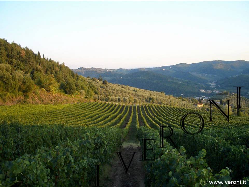 Fattoria I VERONI.wmv