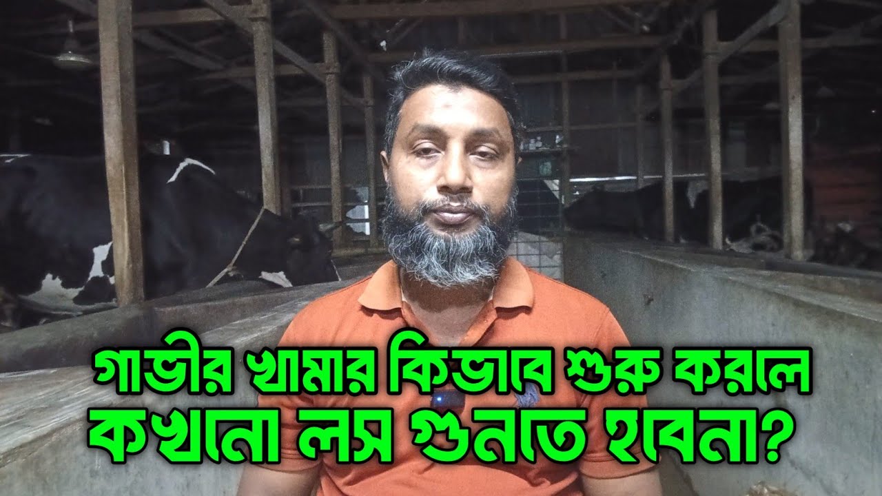 গাভীর খামার কিভাবে শুরু করলে কখনো লস গুনতে হবেনা 😱🐄😱🐄