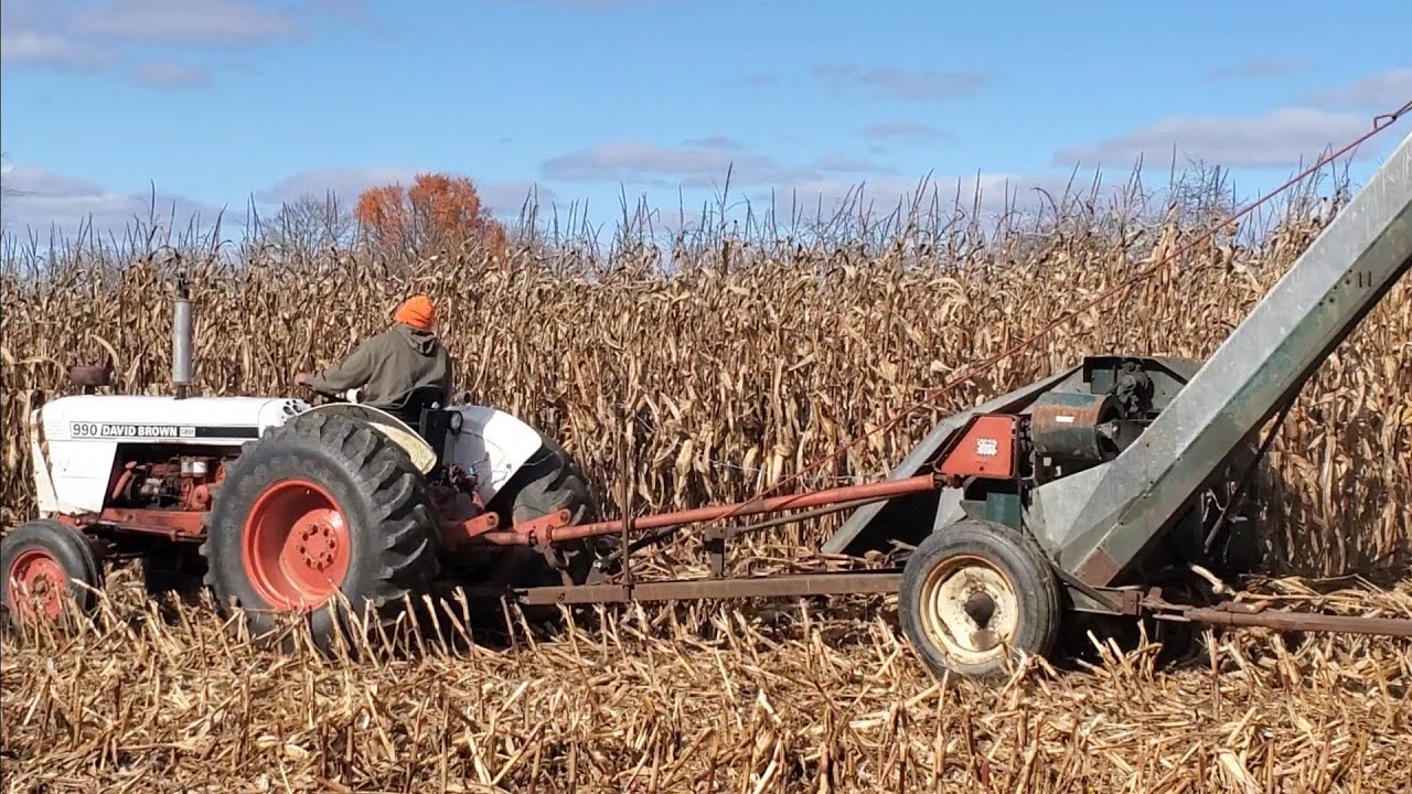 Picking Ear Corn