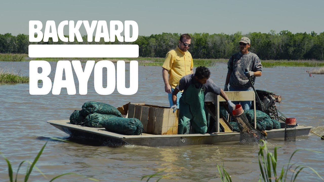 Backyard Bayou - Louisiana Crawfish