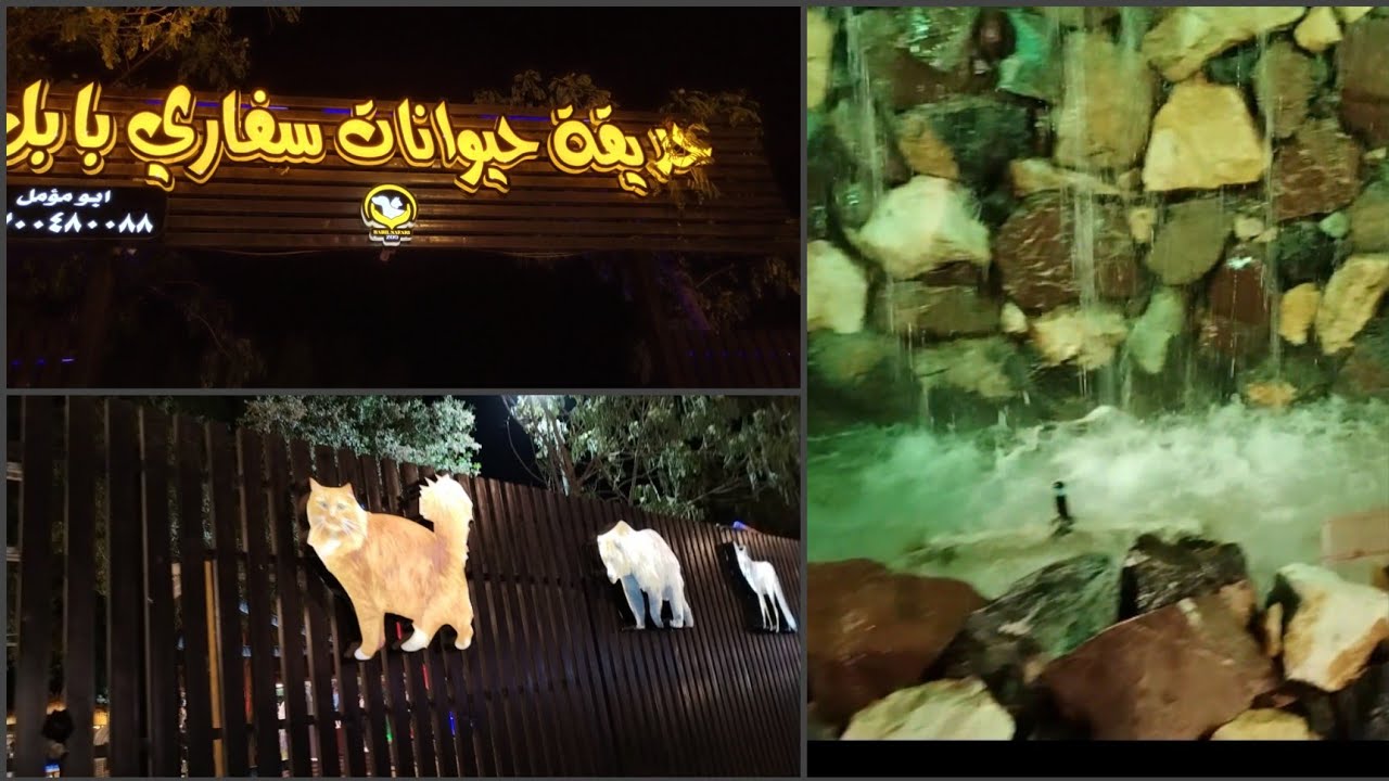جوله بحديقه حيوانات بابل🤩شارع الجمعيه