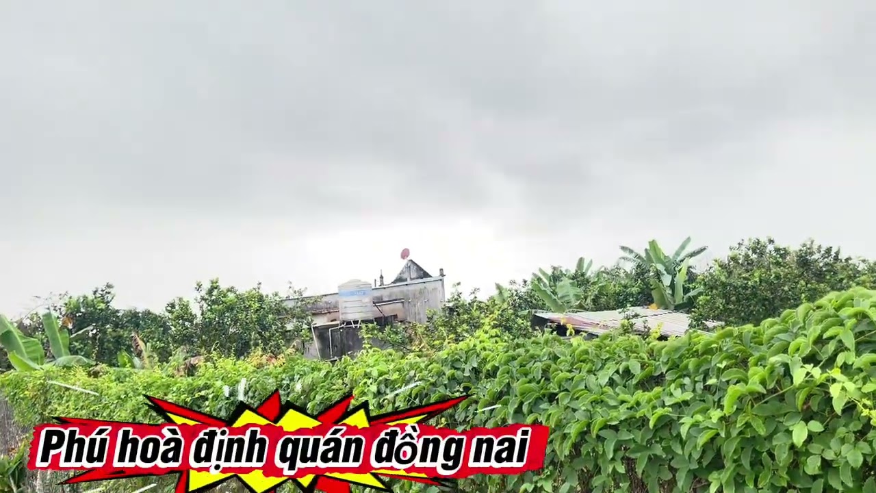 Quá trời rẻ luôn giá lại bèo 2300m2 có 100m2tc có 47m mt đường đá mi hiện thị ☎️0988536882 gặp thảo 