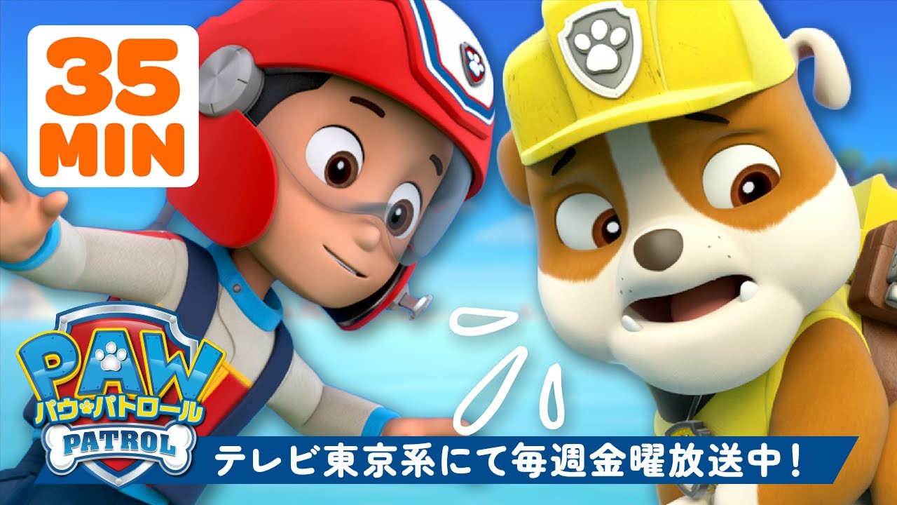 パウ・パトロール | ラブルとの最高のチームワーク！ | 35分 | テレビ東京系にて放送中