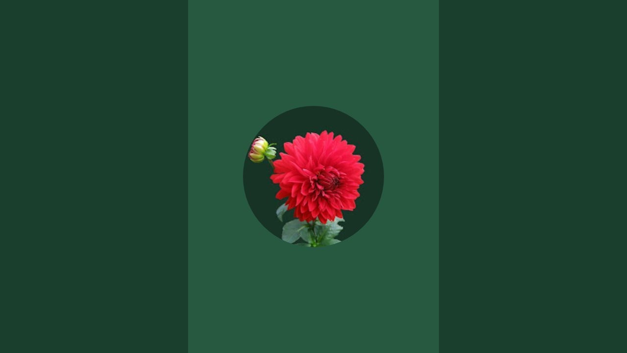 thulasi talks and stories  is live!