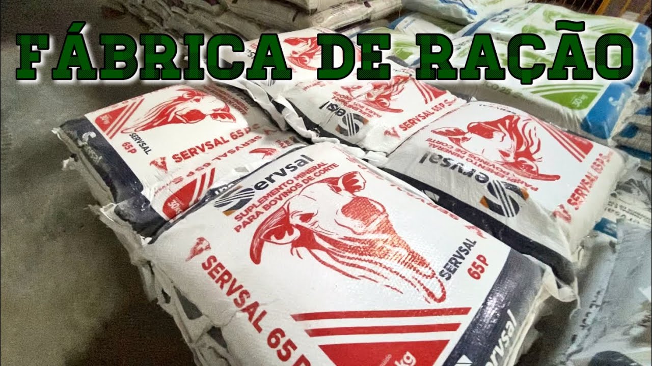 Como é uma FÁBRICA DE SAL/RAÇÃO BOVINA