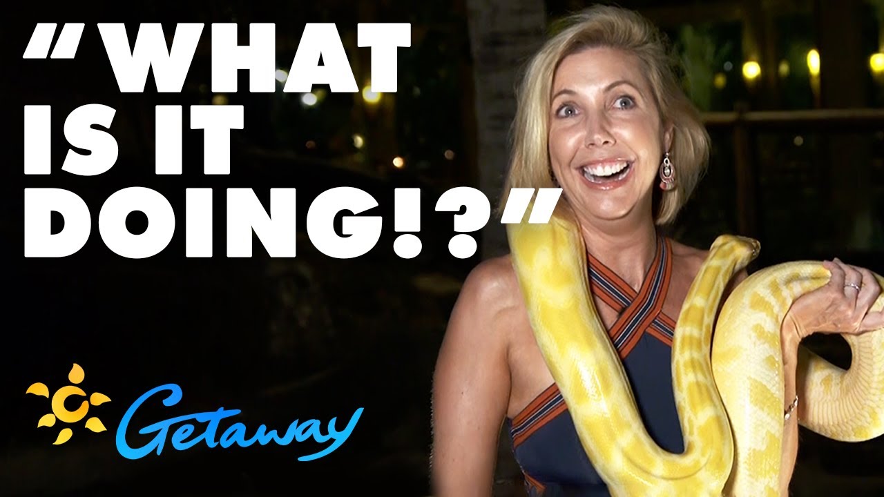 Getaway Rewind: Catriona Rowntree freaks out while holding a python | Getaway 2021