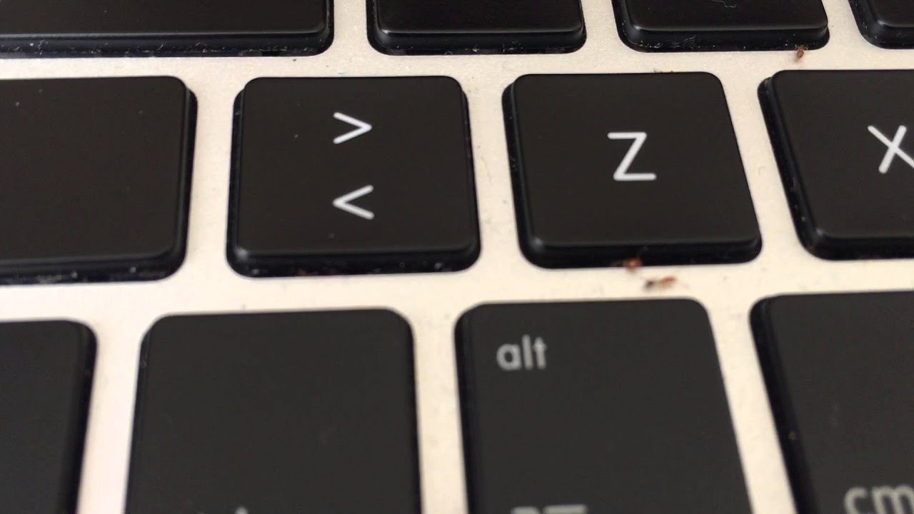 Ants infested Macbook Pro
