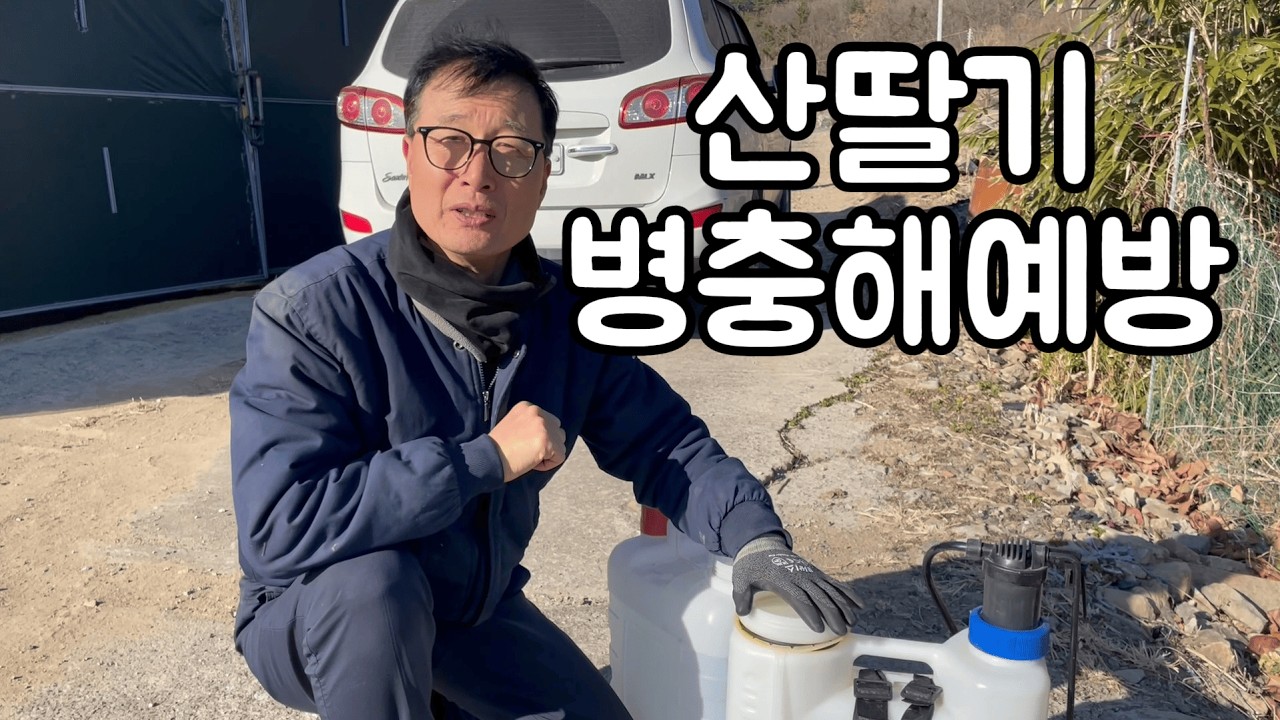 산딸기 병충해예방은 이렇게 하시면 됩니다