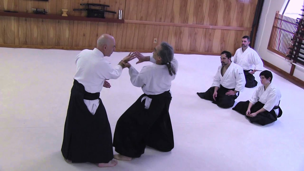 Aikido - William Gleason and George Ledyard Seminar - DVD Sample Clip
