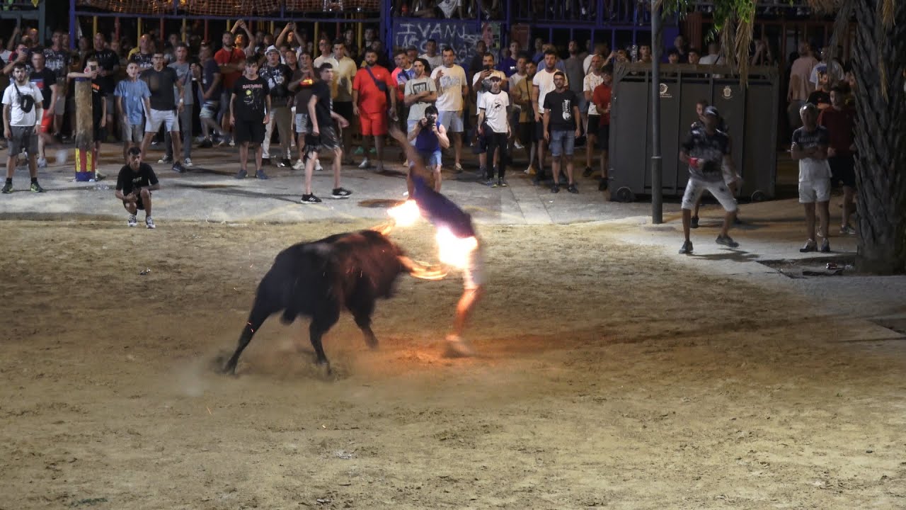 El rincon taurino del Galo - Massamagrell - 05 de agosto de 2023 - excelentes toros de El Torero!