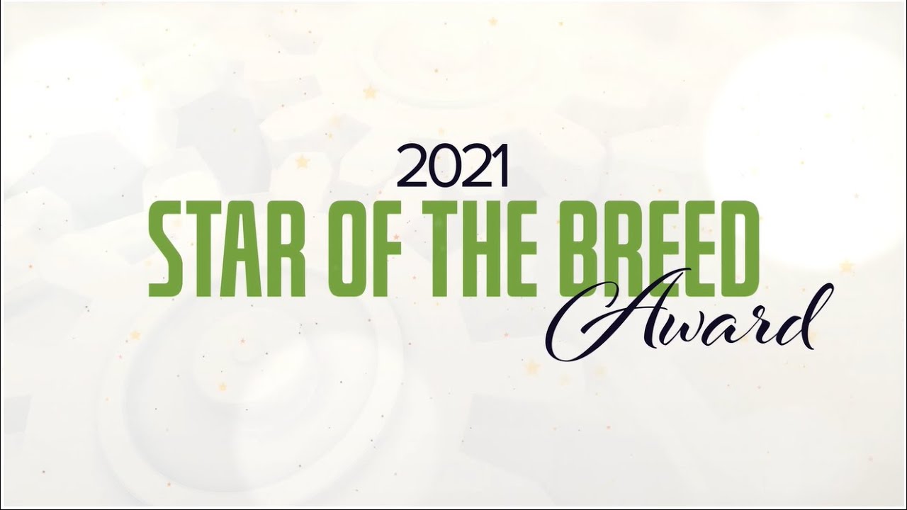 Star of the Breed