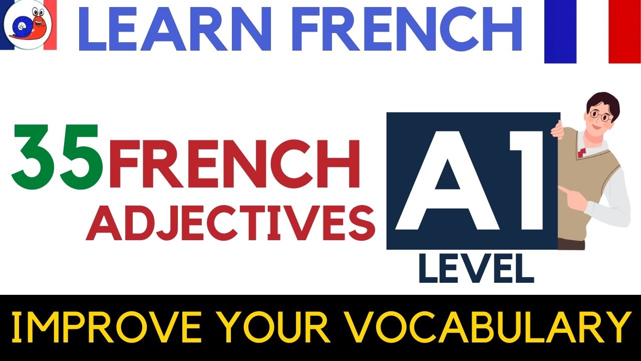 Learn Essential French Adjectives with Examples | A1 Level