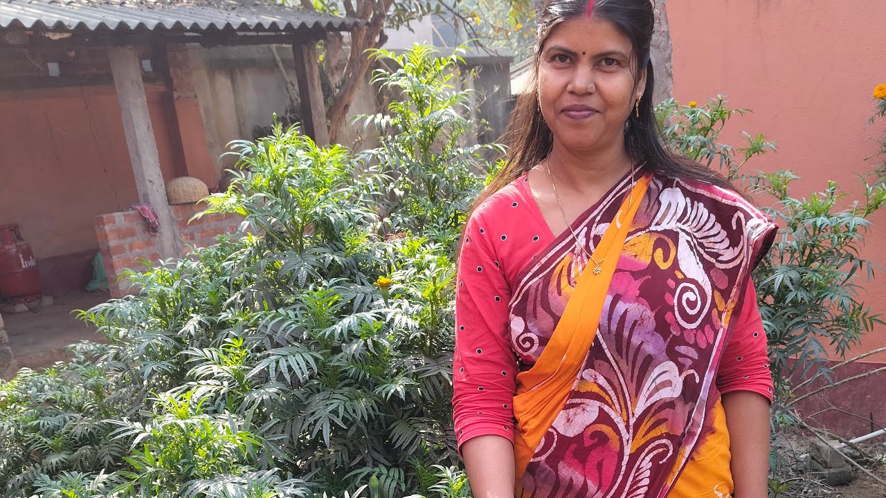 VILLAGE  রান্নাঘর77 is live