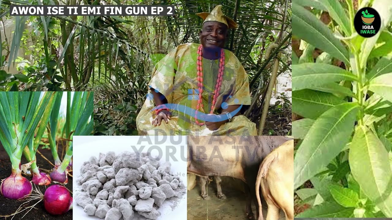 Наука йоруба, способная продлить жизнь - Ogun ti emi fi man gun