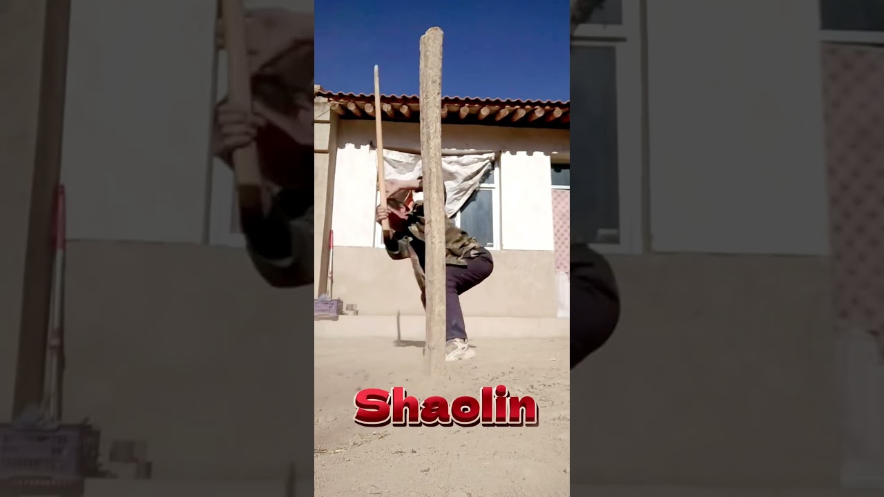 Shaolin stick training, actual combat stick skills #kungfu #shaolin