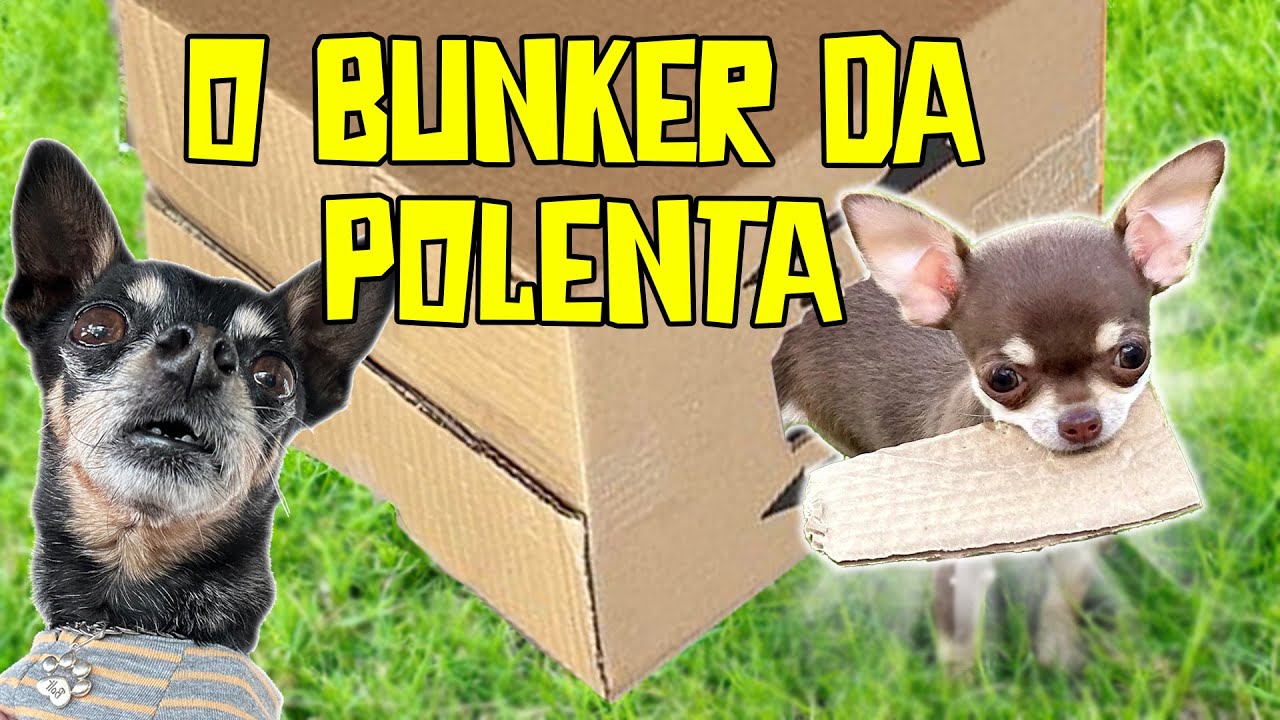 MONTAMOS um 