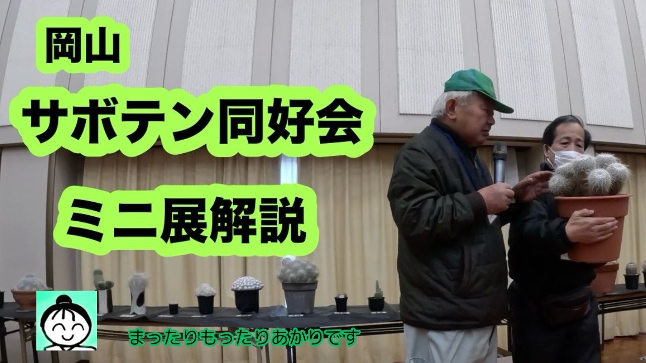 【岡山サボテン同好会】【サボテン】岡山サボテン同好会　２月例会のミニ展　白く見えるサボテン、多肉植物の解説です