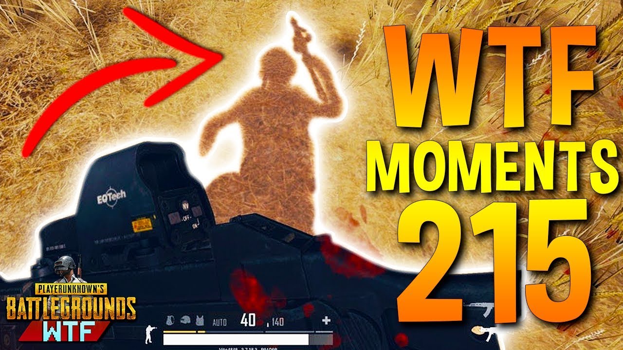 PUBG Daily Funny WTF Moments Highlights Ep 215 (playerunknown's battlegrounds Plays)